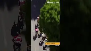 The 2017 crash that kicked Sagan OUT of the Tour #shorts