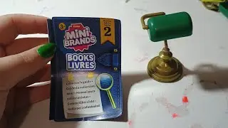 Mystery Mini Brands Books! 📚