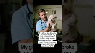 A Dog's Recovery Journey: From Broken to Radiant with Collagen & Care
