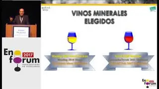 Bases químicas y sensoriales de la mineralidad en los vinos
