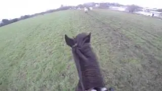 GoPro Horse Riding Hacking out with Helmet Cam