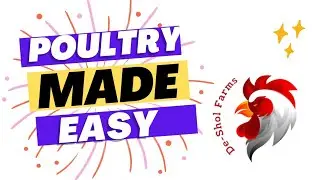 Your Poultry Farming Journey Starts Here.