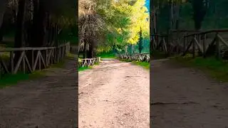 Virtual Walking Workout 4K &ndash; Scenic Trail POV | Treadmill Walking
