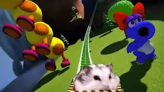 Hamster in Roller Coaster with Mario2