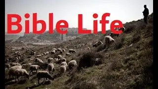 Daily Life in Biblical Times