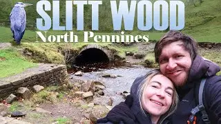 Slitt Wood walk | Weardale | County Durham