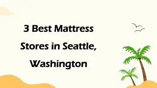 3 Best Mattress Stores in Seattle, Washington | Bedding Stores