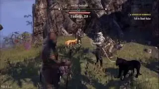 (PS4)The Elderscrolls Online: Tamriel Unlimited - How to level up fast