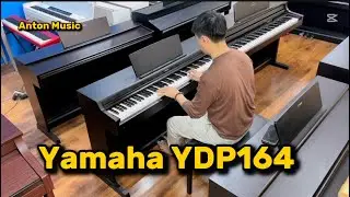 Mẫu đ&agrave;n piano điện vừa học v&agrave; chơi l&acirc;u d&agrave;i Yamaha Ydp164 | Anton Music