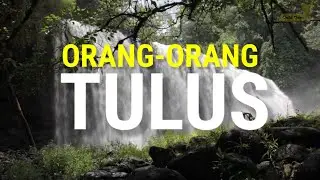 Tanda Kamu adalah Orang yang Tulus