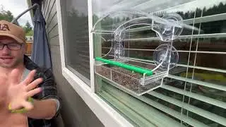Window Bird Feeder with 4 Strong Suction Cups