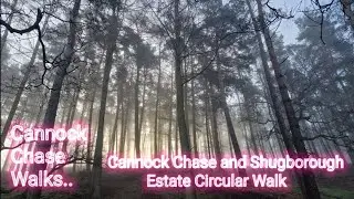Cannock Chase: Cannock Chase and Shugborough Estate Circular Walk