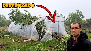 Así ha quedado mi parcela tras los destrozos de la tormenta.