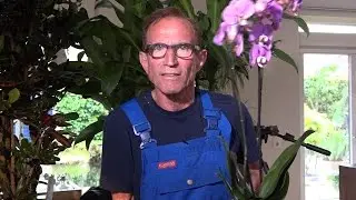 Rob Verlinden geeft tips over kamerplanten: 'Klimop zorgt voor meeste zuurstof'