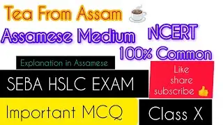Tea From Assam // Previous Year Important Question//HSLC Exam 2025// Class 10 //