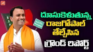 Munugode Ground Report | Latest Survey On Munugode Bypoll Elections | Rajagopal Reddy | YOYO TV