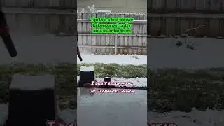 Snow Day Hack | Leaf Blower to keep a Pet Potty area clear