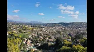 PEGOMAS ET SES COLLINES DE MIMOSAS