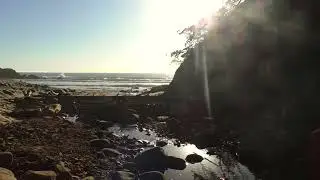 Guided Meditation: Slowing Down and Tuning into Nature's Rhythm