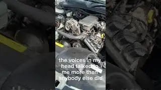 real #vx #commy #commo #commodore #holden #sv6 #seden #s #holdencommodore #burnouts #carcommunity