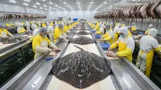 Inside the World's Rarest Pink Stingray Factory! 💎💖 | How it's Made? #stingray #factory
