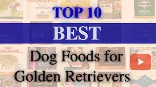 Top 10🐶 Best Dog Foods for golden retriever(UPDATED)
