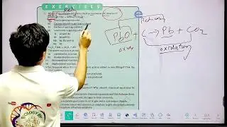 ch  1 blue box + exercise