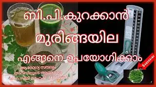 B. P കുറയ്ക്കാൻ മുരിങ്ങയില എങ്ങനെ ഉപയോഗിക്കാം?/ How to Use Moringa leaf to control B.P?
