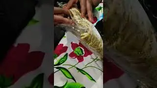 Flipkart golden party wear blouse under 500#flipkart #blouse #haulvideo #shorts