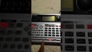 boss dr-880 (cumbia tropical)