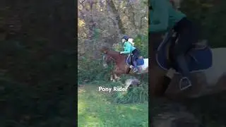 Jumping a Pony VS. Jumping a Horse