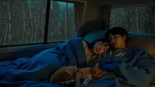 Ultra Relaxing Piano with Rain Ambience  Helps You Fall Asleep Easily 🌙