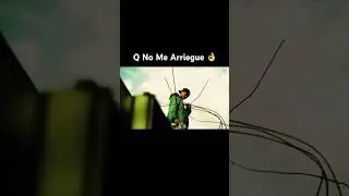Q No Me arriesgue #viral #viralvideo #viralshorts #viralshort #rap  #musica #music