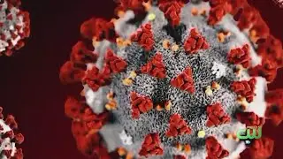How To Cope With Coronavirus Pandemic When 'Almost Every Walking Person Could Be The Grim Reaper'