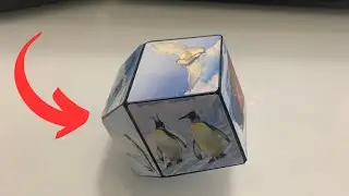 My Thoughts on the Shashibo Shape Shifting Box. Worth it?