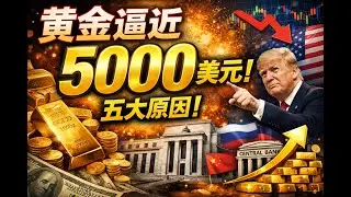 黄金疯了？五大硬核数据，告诉你它凭什么冲向5000美元！
