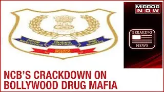 Mumbai: NCB's crackdown on Bollywood drug mafia, one peddler arrested from Bandra