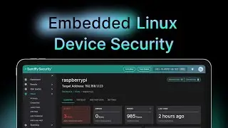 Agentless Embedded Linux Device Security on Raspberry Pi