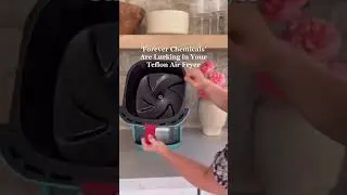 &lsquo;Forever Chemicals&rsquo; Are Lurking in Your Air Fryer- Here is the best one I found