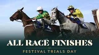 ALL RACE FINISHES FROM FESTIVAL TRIALS DAY AT CHELTENHAM RACECOURSE