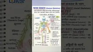 Human Skeleton System in Hindi | मानव कंकाल की पूरी जानकारी | Total 206 Bones | Biology for Exams