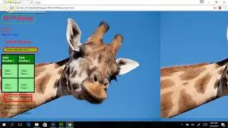 3.2 Internal and External JavaScript