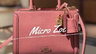 #BagReview: Тренер Микро Зои - хинди маганда?!