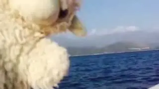 Permi&egrave;re sortie en mer &eacute;t&eacute; 2015