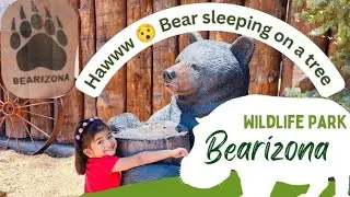 Welcome to Bearizona, a wildlife park where you can experience North American wildlife up close.