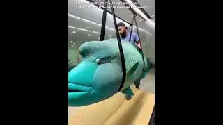Это станет редким и бесценным воспоминанием в мире✅