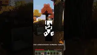 W.D. Gaster Encounter in Minecraft #shorts