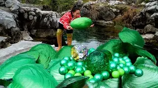 😱🎁The giant green clam growing in such pure freshwater, with colorful pearls, is priceless