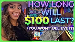How Long Will $100 Last Playing CATS Slot Machine at Max Bet? ( YOU Won't Believe It )