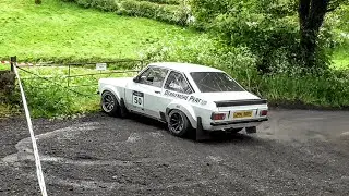 Cavan Stages Rally 2019 *Full Stage*